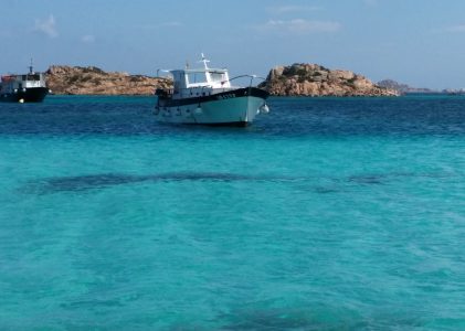 Isola di Budelli: tutto ciò che devi sapere