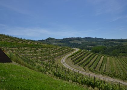 Cosa vedere a Neive e dintorni